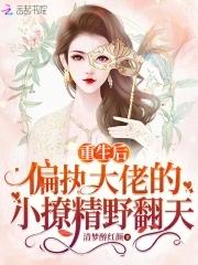 重生后,偏执大佬的小撩精野翻天